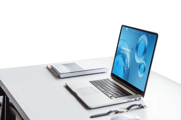 河北网站建设市场火爆，选择合适开发公司，助力品牌腾飞！